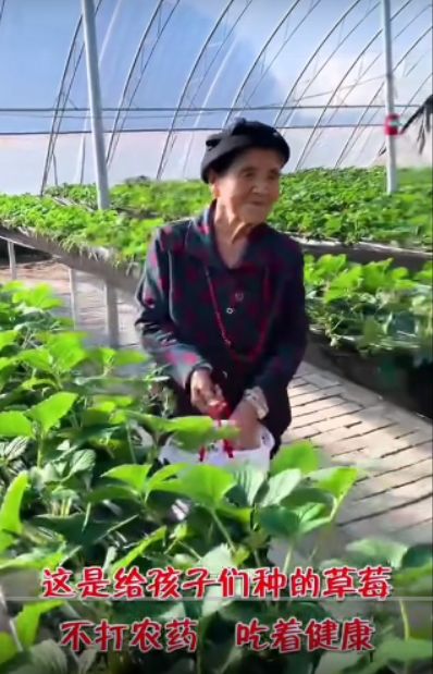 保护环境， 人人有责