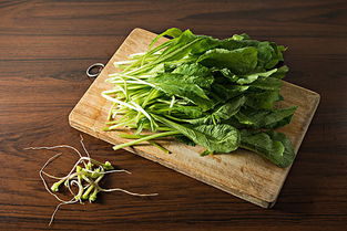 拌种子的注意事项