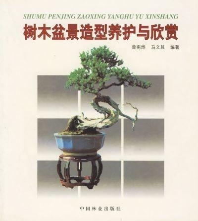 苏木盆景如何养护才能保持其独特韵味