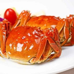 大闸蟹批发价17-53元/斤