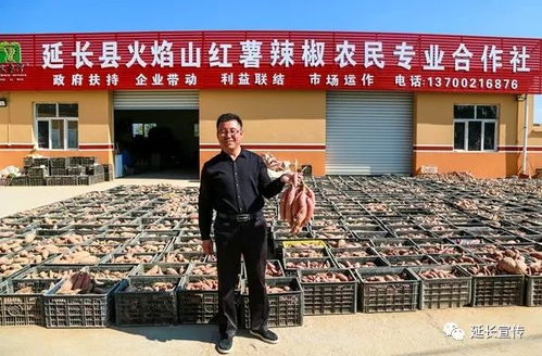 合作社助力贫困户脱贫