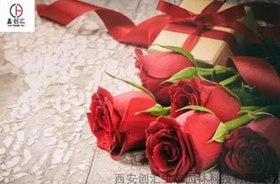 如何养活玫瑰花