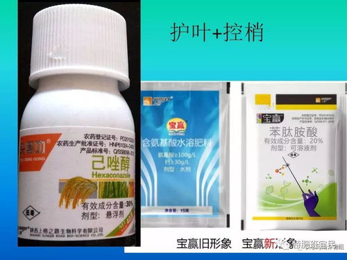 增效组合策略：探索柑橘着色提升新路径