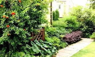 山区种植，那是个啥感觉