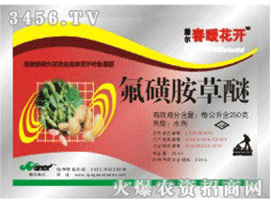 花生除草专用除草剂的价格之谜