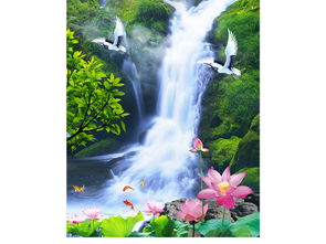 水生植物， 水中的生命色彩