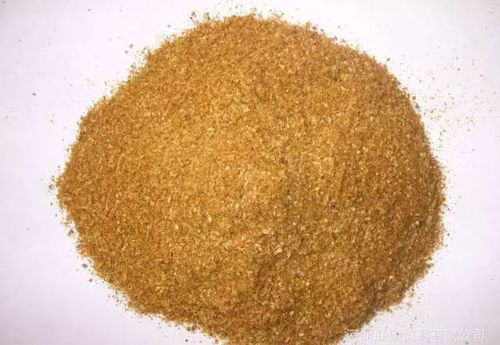 如何查看豆粕和菜粕现货价格行情走势？