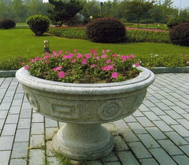 茶文化园景观设计