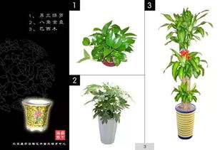 自问自答时间到