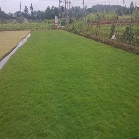 品质与价格：一分钱一分货