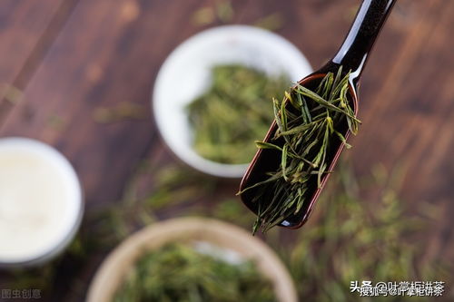植物传播方法有哪些？看完这篇