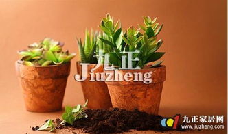 第十四步：如何改善土壤酸碱性