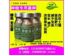 提升果实品质， 增加产量