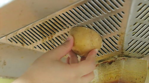 马铃薯如何变废为宝，农户省钱妙招，制作饲料全攻略有哪些？