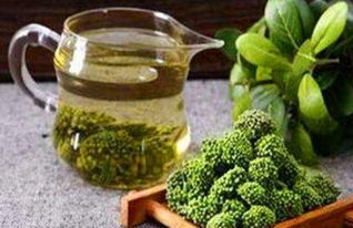 三七花的营养与药用价值