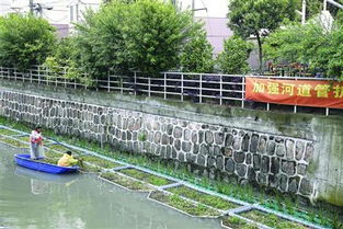 上个月河道管理局刚发通知， 我二舅就吃了大亏