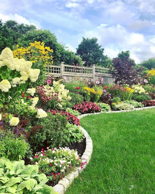 打造自然花园的新选择