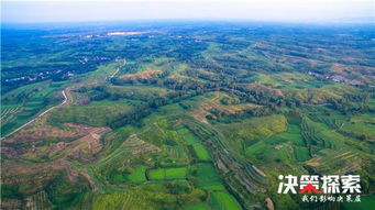 内乡县余关镇：绿色产业助力乡村振兴