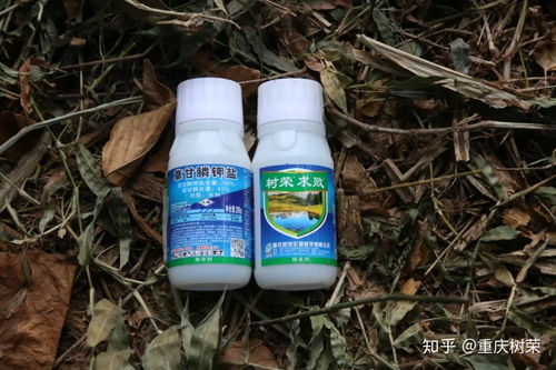 为什么水性除草剂能针对特定杂草发挥作用，而不影响作物？