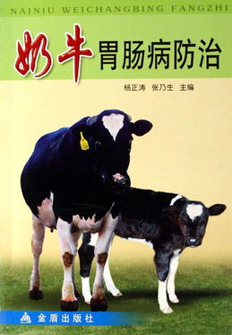 奶牛胃病是奶牛常见疾病，影响其健康和生产力