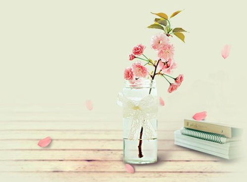 等待花开的诗意：寄托思念的花语