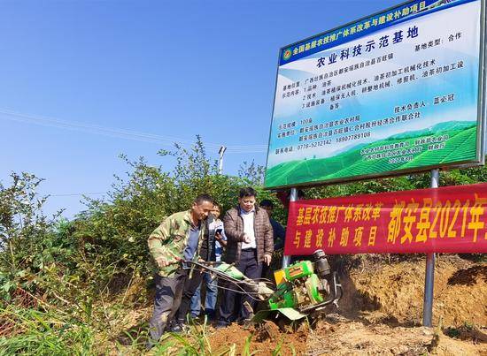 博白油茶产业迎来政策春风，助力绿色经济腾飞