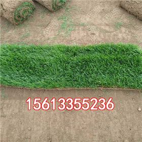 京港澳高速河北段的“兄弟连”