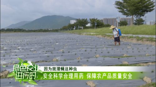 喷药注意事项， 得知道