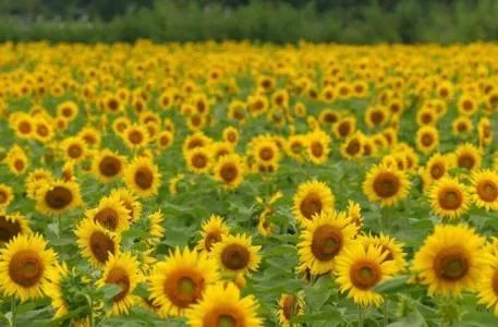 第一步：选个好地方