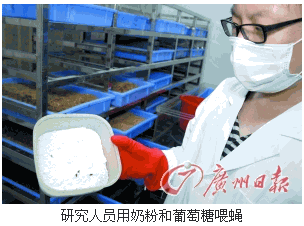 美迪森高脂饲料在造模中效果显著，它是如何成为实验室造模神器的呢？