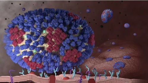 甲霜灵的性质及用途