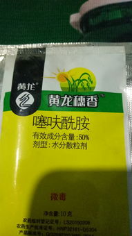 小麦病害的困扰与解决方案