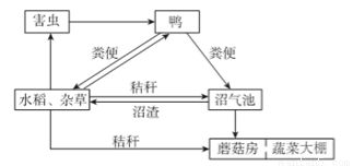 香蕉变质是由于微生物活动、酶促反应和外界环境因素共同作用的结果
