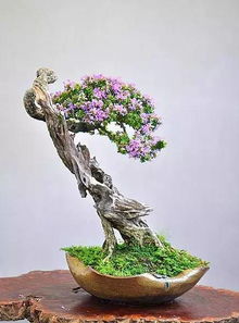 水景与旱景的融合