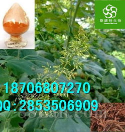 防冻剂这么用才有效