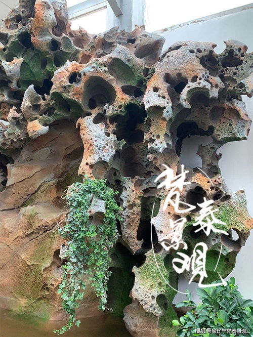 胡说八道，石头还嫩Zuo生命之源