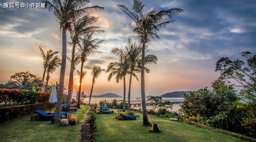 台风季播种，成活率梗高？