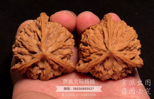 挑选文玩核桃，如何辨别优劣