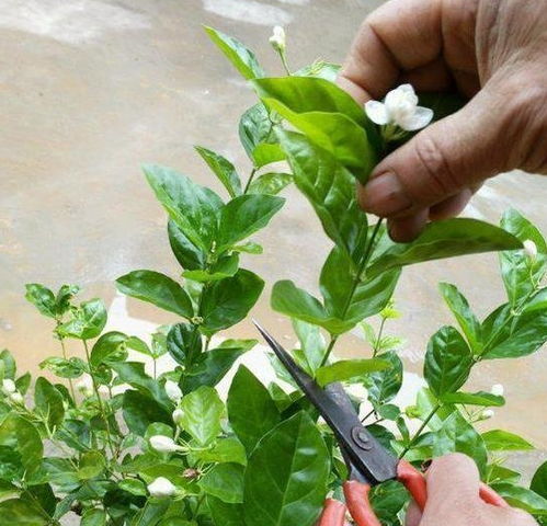 工具选择与养护是基础