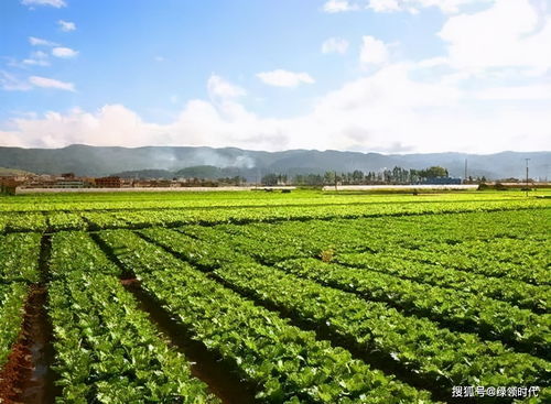 青川农业， 发展的脚步