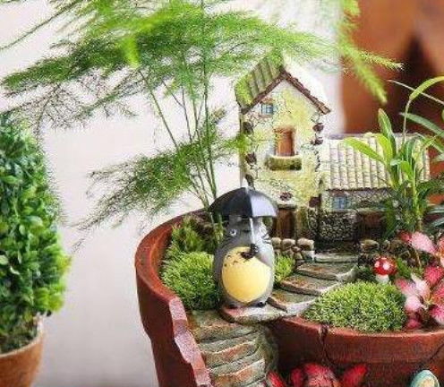 “楼房花盆苔藓少，养护秘诀是什么