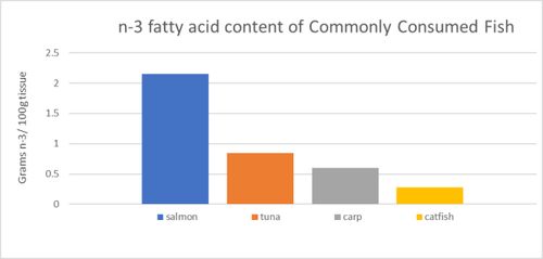 鱼饲料转化率是多少才算合理？对鱼的生长和养殖效益有何影响？