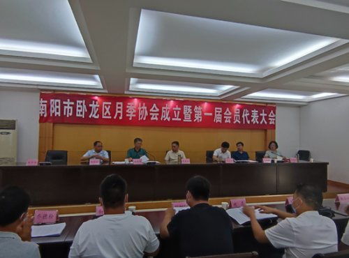 月季：卧龙区经济发展的支柱产业