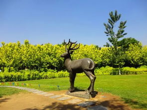 科普活动：让知识飞起来