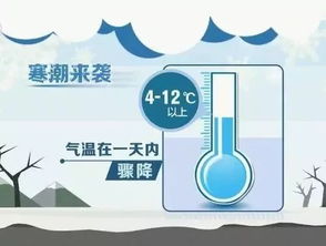 冬天也能喷杀虫剂吗？来看看吧！