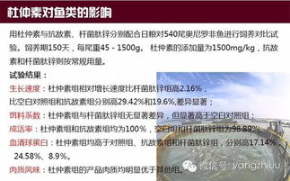 饲料添加剂备案总被驳回？如何线上避坑省70%申报费？三招攻略分享！