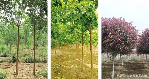 降低损耗：八招实用技巧