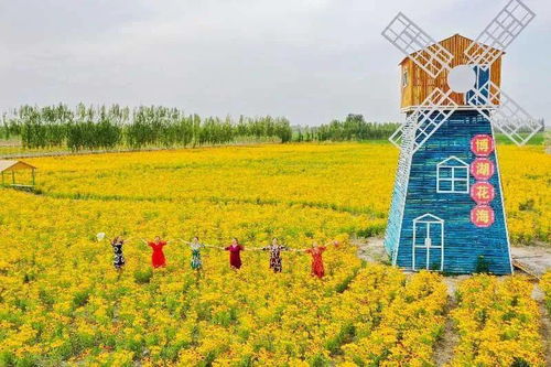 博湖县哪里卖花巨兔：养殖业的秘密