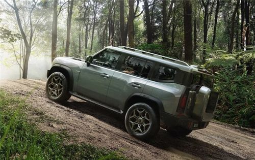 爬山虎的价格大揭秘