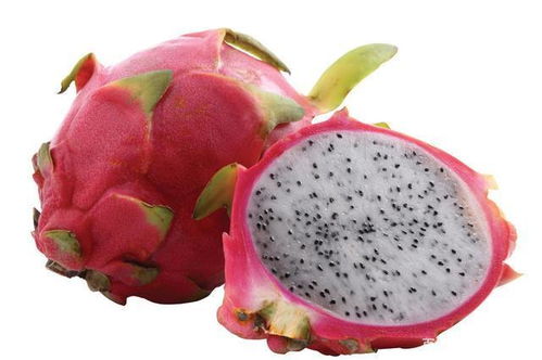 火龙果属于凉性水果，具有清热解毒、润肺止咳的功效